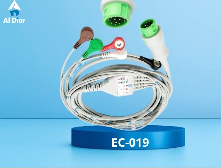 EC-019